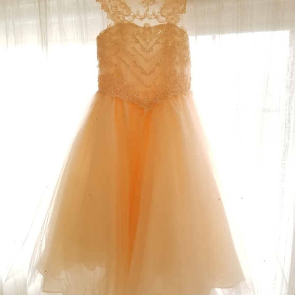 Flowergirl Dress - Picture 8 of 9